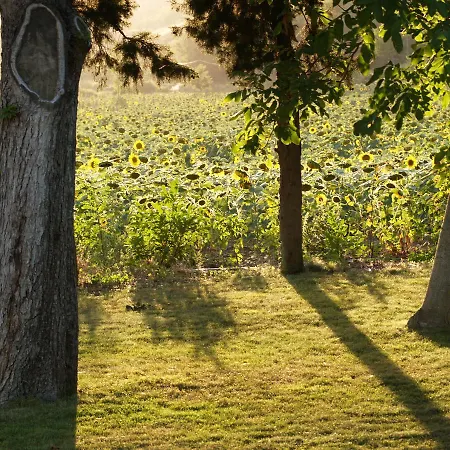 Bed & Breakfast Domaine De Luzenac Val-du-Faby
