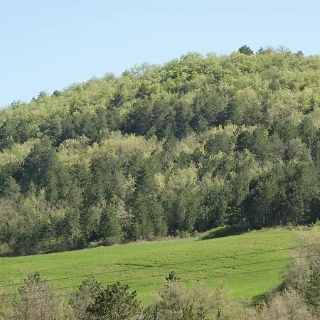 Domaine De Luzenac Bed & Breakfast 3*