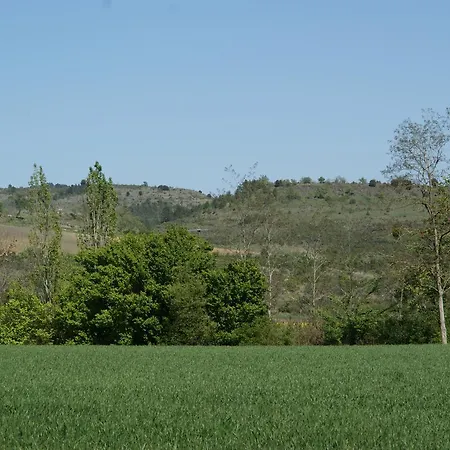 Domaine De Luzenac Bed & Breakfast 3*